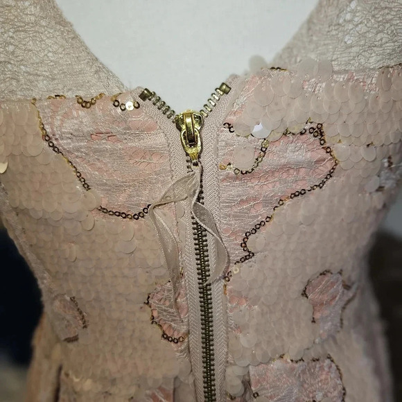 Eva Franco Sugarberry Sequin Lace Mini Dress Size 8 Blush Pink Hand-Embellished - Picture 9 of 16